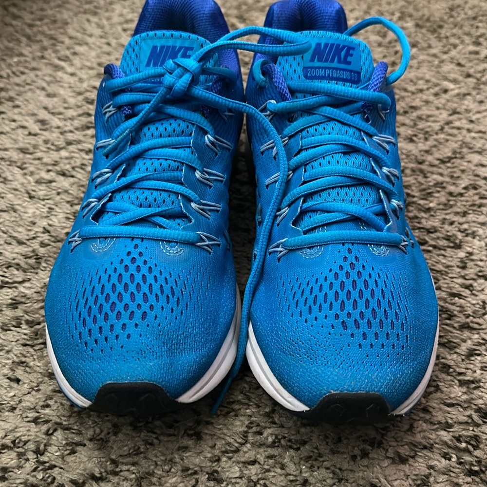 Nike Pegasus 33